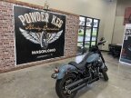 Thumbnail Photo 5 for New 2024 Harley-Davidson Softail Low Rider S