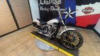 Thumbnail Photo 6 for 2024 Harley-Davidson Softail Breakout