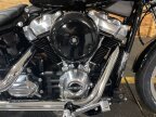Thumbnail Photo 1 for 2024 Harley-Davidson Softail Standard