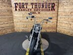 Thumbnail Photo 3 for 2024 Harley-Davidson Softail Standard