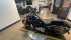 Thumbnail Photo 2 for 2024 Harley-Davidson Softail Fat Boy 114