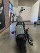 Thumbnail Photo 2 for New 2024 Harley-Davidson Softail Standard