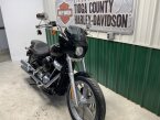 Thumbnail Photo 2 for 2024 Harley-Davidson Softail Standard