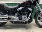Thumbnail Photo 6 for 2024 Harley-Davidson Softail Standard