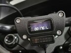 Thumbnail Photo 5 for 2024 Harley-Davidson Softail Low Rider ST