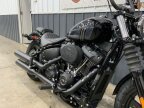 Thumbnail Photo 2 for 2024 Harley-Davidson Softail Street Bob 114