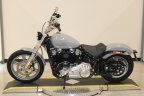 Thumbnail Photo 6 for 2024 Harley-Davidson Softail Standard