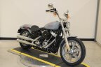 Thumbnail Photo 2 for 2024 Harley-Davidson Softail Standard