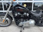 Thumbnail Photo 6 for 2024 Harley-Davidson Softail Standard