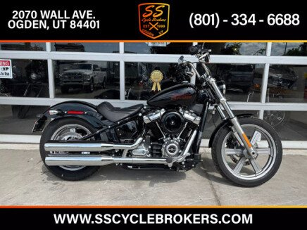 Photo 1 for 2024 Harley-Davidson Softail Standard