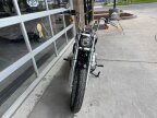 Thumbnail Photo 4 for 2024 Harley-Davidson Softail Standard