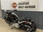 Thumbnail Photo 4 for 2024 Harley-Davidson Softail Breakout