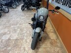 Thumbnail Photo 2 for 2024 Harley-Davidson Softail Low Rider S