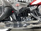 Thumbnail Photo 6 for 2024 Harley-Davidson Softail FLI Hydra-Glide Revival