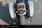 Thumbnail Photo 6 for 2024 Harley-Davidson Softail Low Rider ST