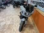 Thumbnail Photo 2 for 2024 Harley-Davidson Softail Low Rider ST