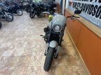 Thumbnail Photo 2 for 2024 Harley-Davidson Softail Low Rider S