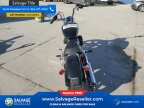 Thumbnail Photo 5 for New 2024 Harley-Davidson Softail Standard