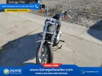 Thumbnail Photo 3 for New 2024 Harley-Davidson Softail Standard