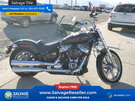 Photo 1 for New 2024 Harley-Davidson Softail Standard