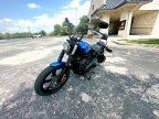 Thumbnail Photo 4 for 2024 Harley-Davidson Softail Street Bob 114