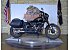 2024 Harley-Davidson Softail