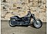 2024 Harley-Davidson Softail