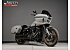 2024 Harley-Davidson Softail Low Rider ST