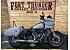 2024 Harley-Davidson Softail Low Rider ST