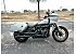 2024 Harley-Davidson Softail Low Rider ST
