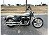 2024 Harley-Davidson Softail Standard