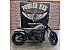 2024 Harley-Davidson Softail Street Bob 114