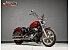 2024 Harley-Davidson Softail Standard