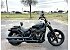 2024 Harley-Davidson Softail Street Bob 114