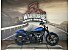 2024 Harley-Davidson Softail Street Bob 114