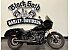 2024 Harley-Davidson Softail Low Rider ST