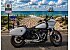 2024 Harley-Davidson Softail