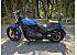 2024 Harley-Davidson Softail