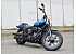 2024 Harley-Davidson Softail Street Bob 114