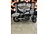 2024 Harley-Davidson Softail Low Rider ST