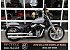 2024 Harley-Davidson Softail Standard