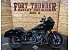 2024 Harley-Davidson Softail Low Rider ST