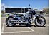 2024 Harley-Davidson Softail