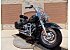 2024 Harley-Davidson Softail