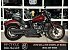 2024 Harley-Davidson Softail