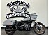 2024 Harley-Davidson Softail Low Rider ST