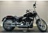 2024 Harley-Davidson Softail Standard