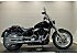 2024 Harley-Davidson Softail Standard