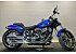 2024 Harley-Davidson Softail