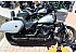2024 Harley-Davidson Softail Low Rider ST